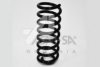 ASAM 30952 Coil Spring